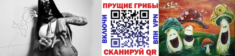 Псилоцибиновые грибы ЛСД  кракен маркетплейс  Бирюсинск  купить  сайты 